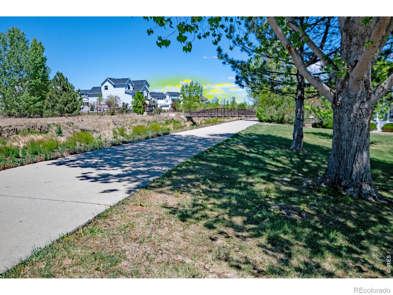 2059 Grays Peak Drive Loveland CO 80538