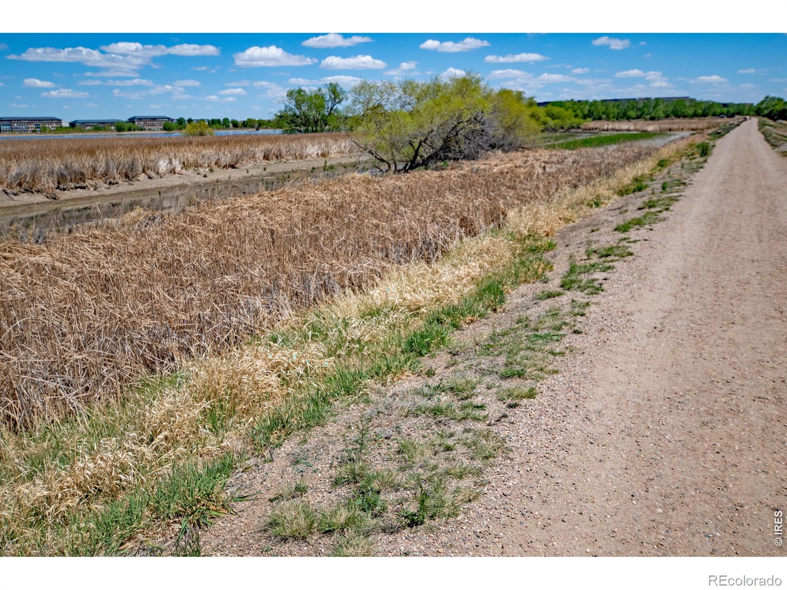 2059 Grays Peak Drive Loveland CO 80538