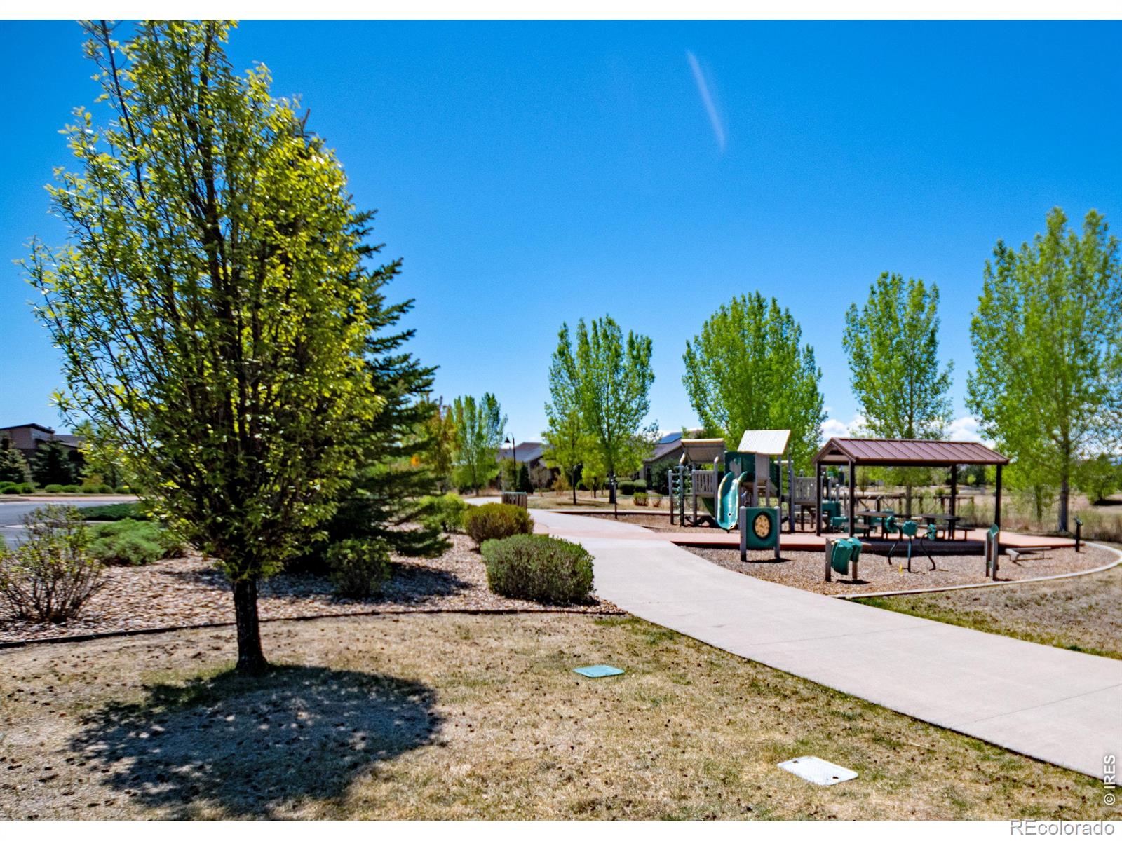 2059 Grays Peak Drive Loveland CO 80538