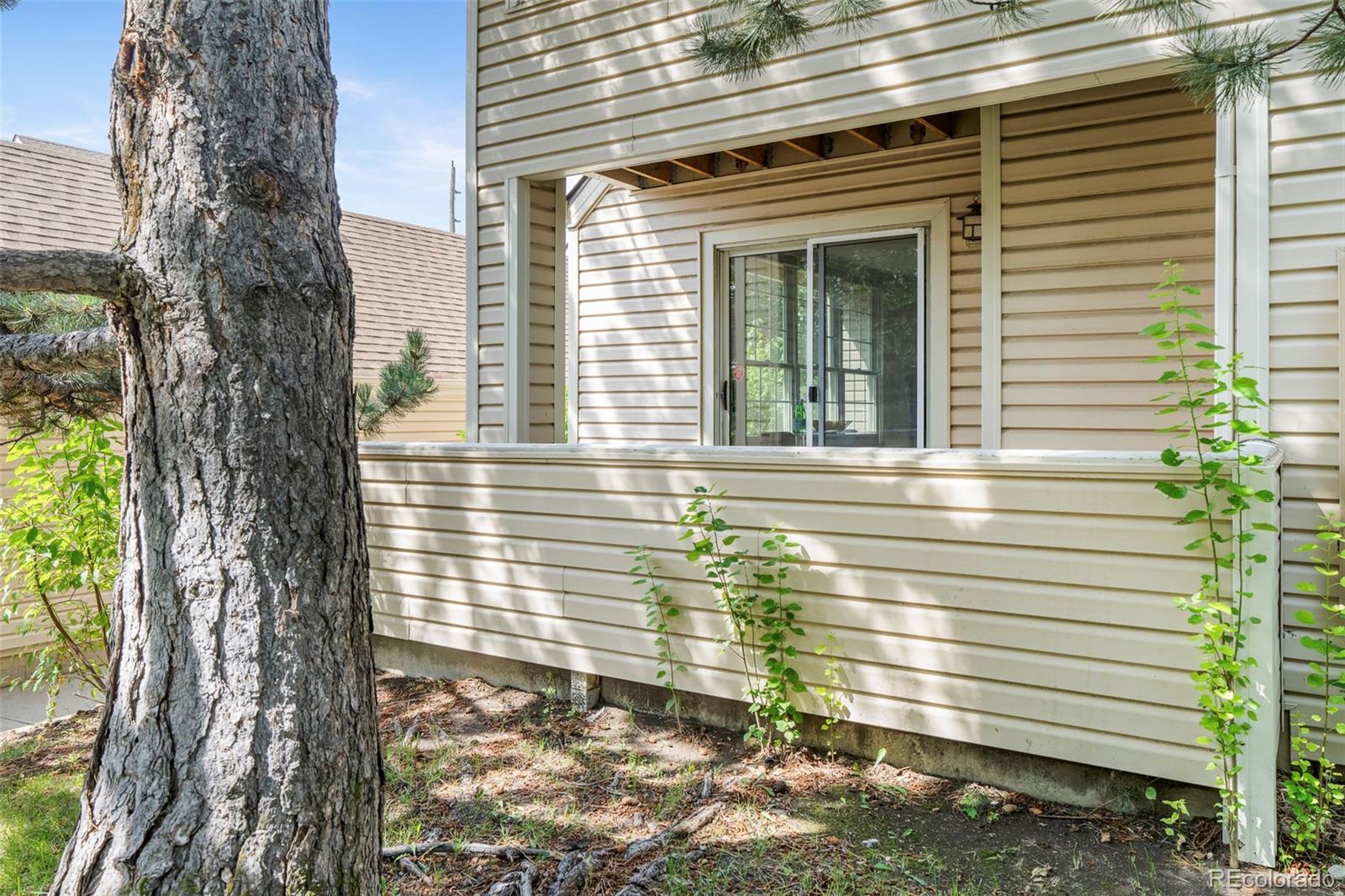 995 S Miller Street Lakewood CO 80226