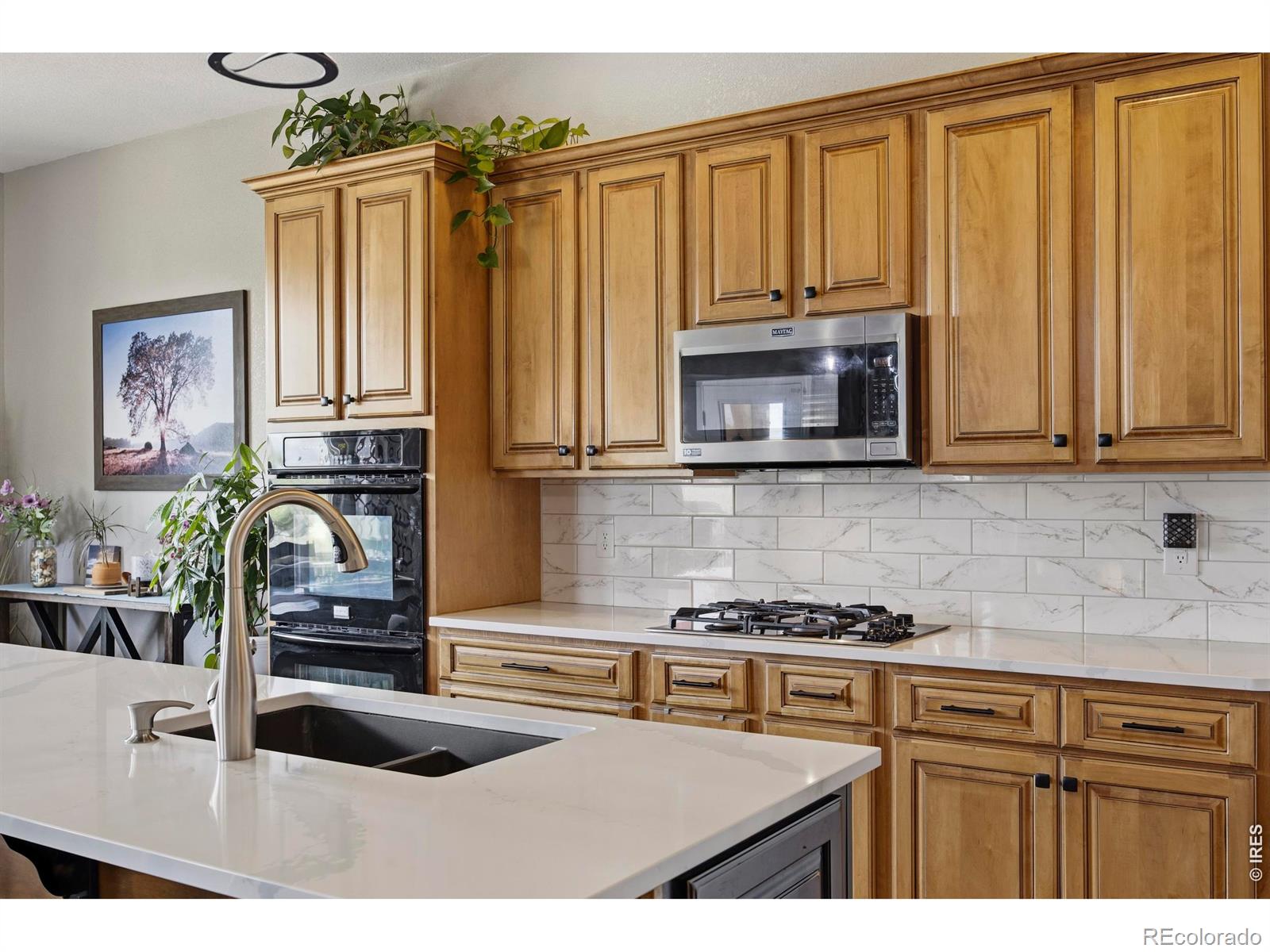 404 Split Rock Drive Loveland CO 80537