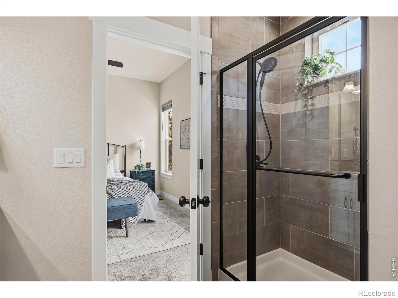 1690 W 50th Street Loveland CO 80538