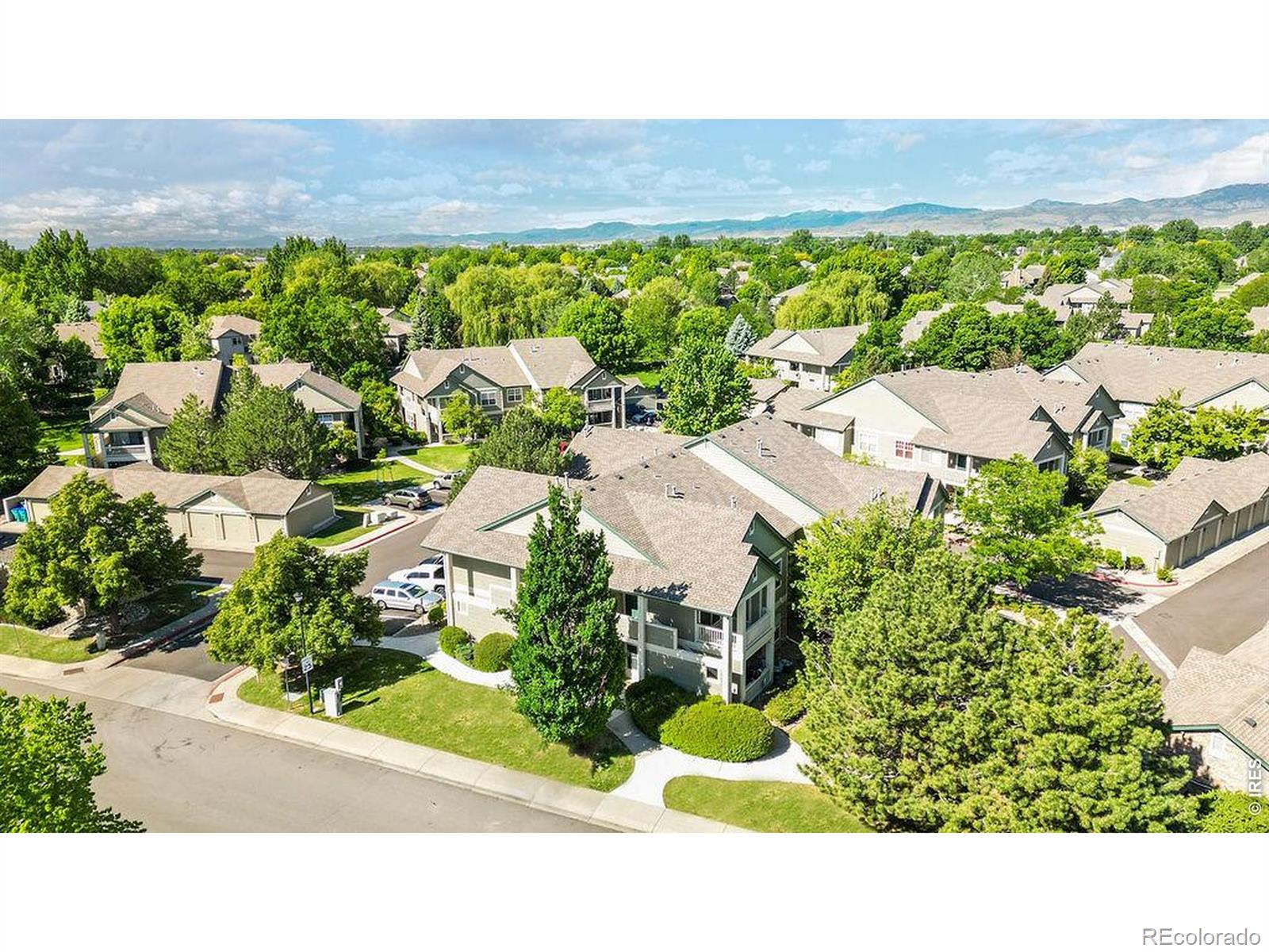 5225 White Willow Drive Fort Collins CO 80528
