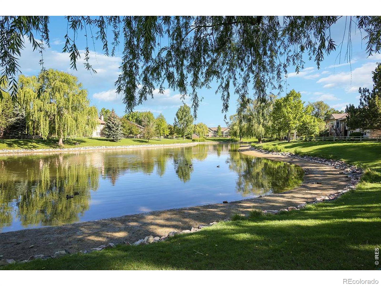 5225 White Willow Drive Fort Collins CO 80528