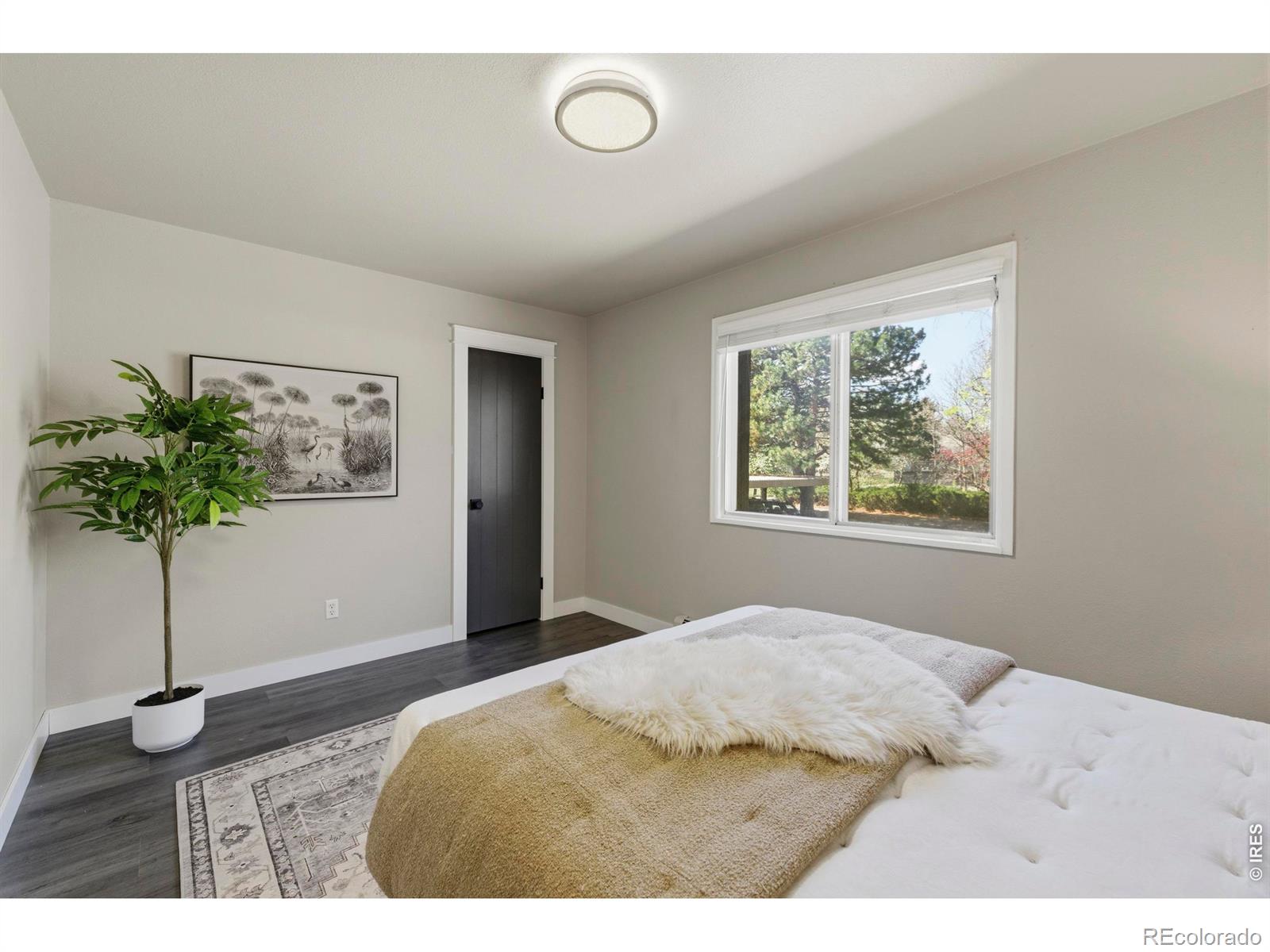 1305 Kirkwood Drive Fort Collins CO 80525