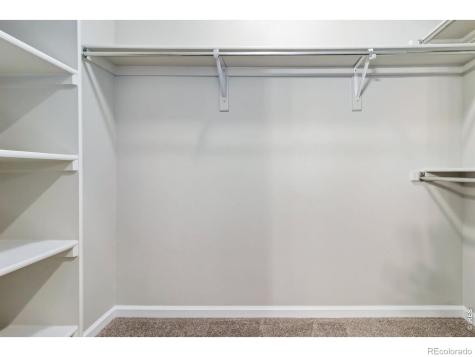 2178 Cape Hatteras Drive Windsor CO 80550
