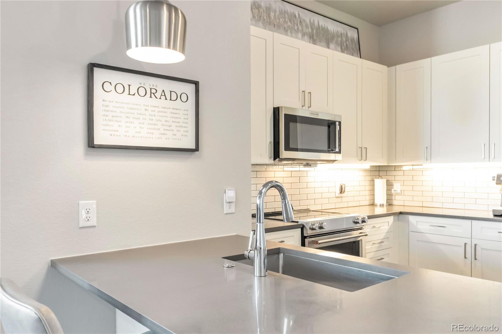 20 Wilcox Street Castle Rock CO 80104