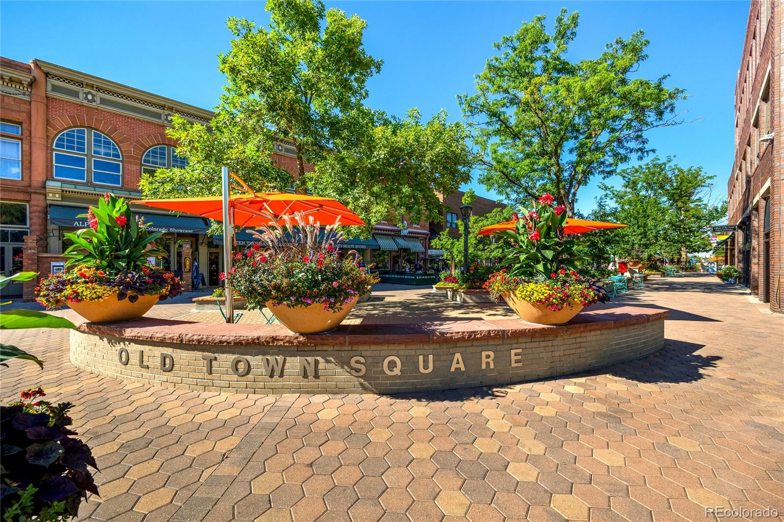 232 E Oak Street Fort Collins CO 80524
