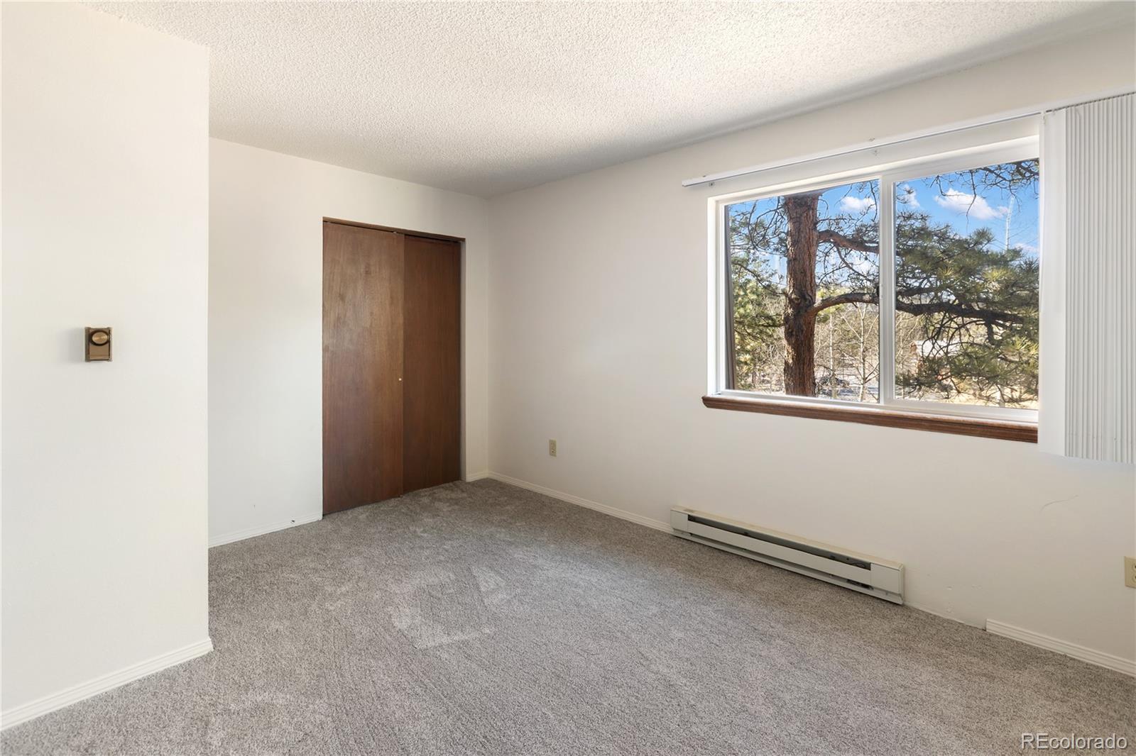 570 Manor Court Woodland Park CO 80863
