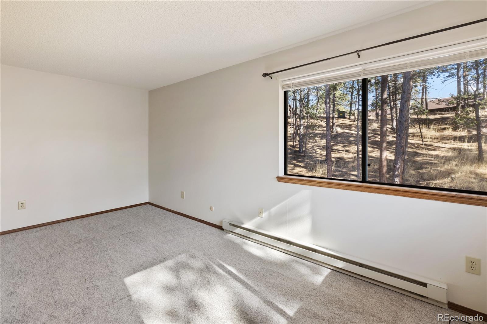 570 Manor Court Woodland Park CO 80863