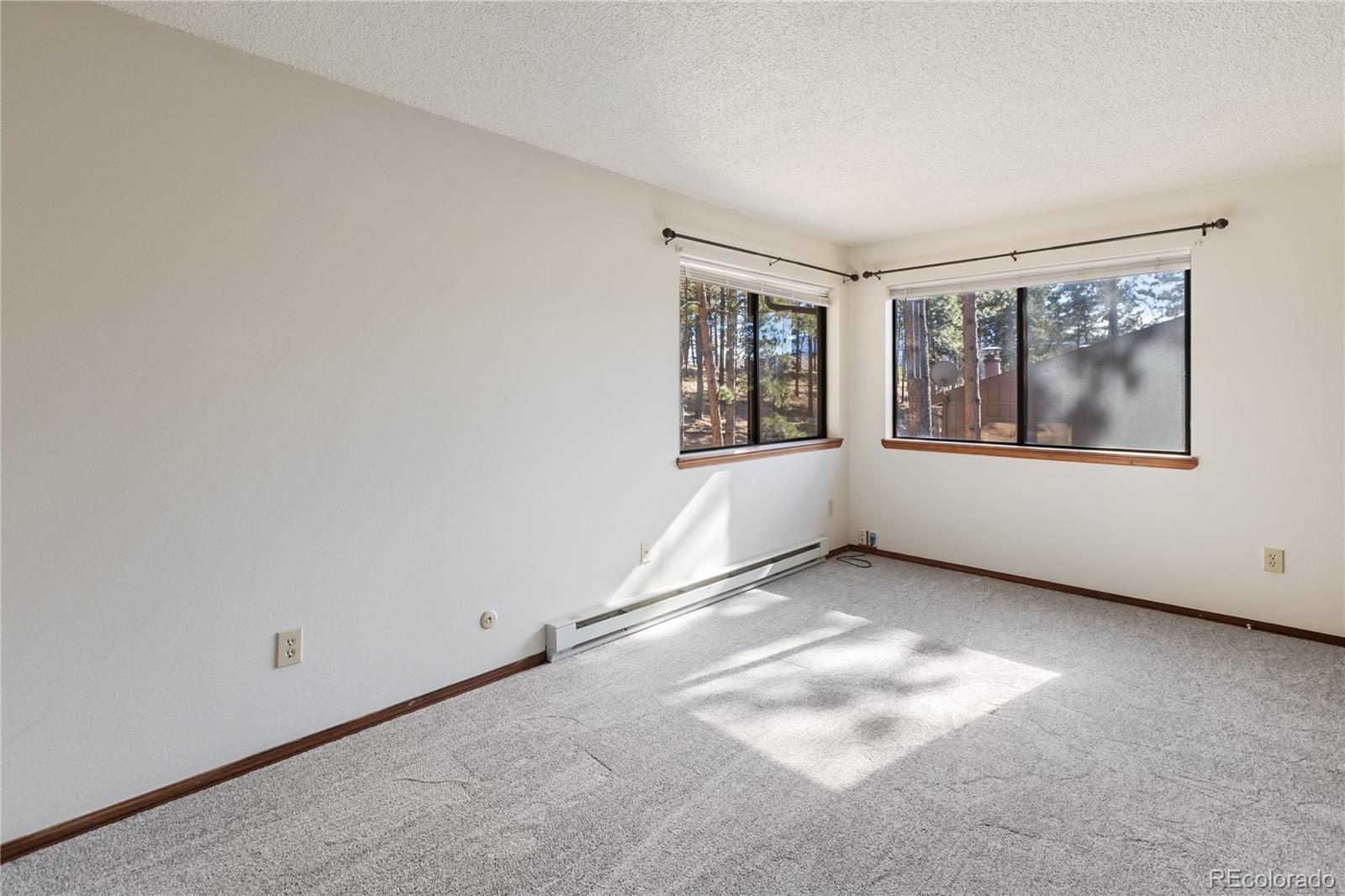 570 Manor Court Woodland Park CO 80863