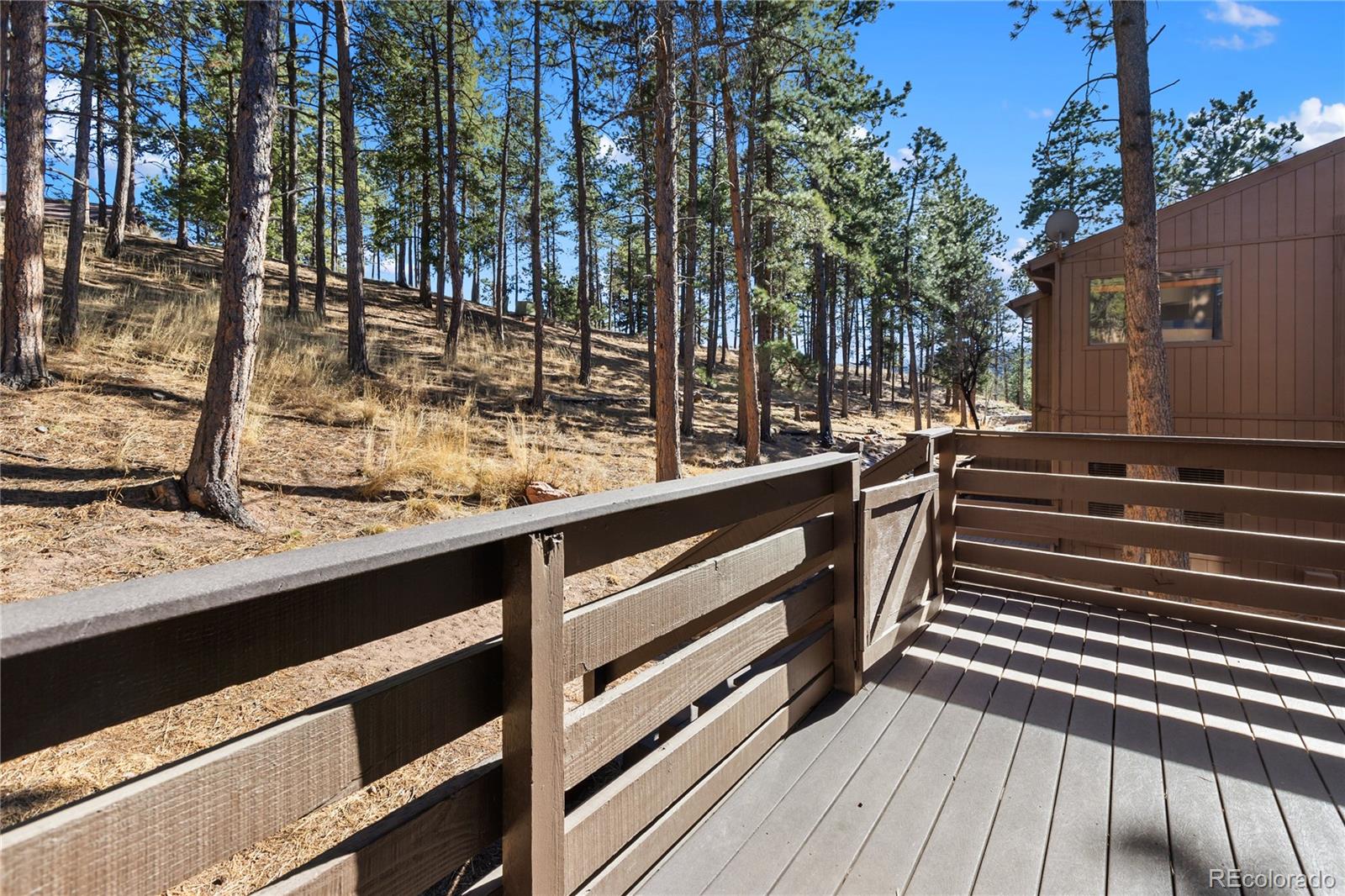 570 Manor Court Woodland Park CO 80863