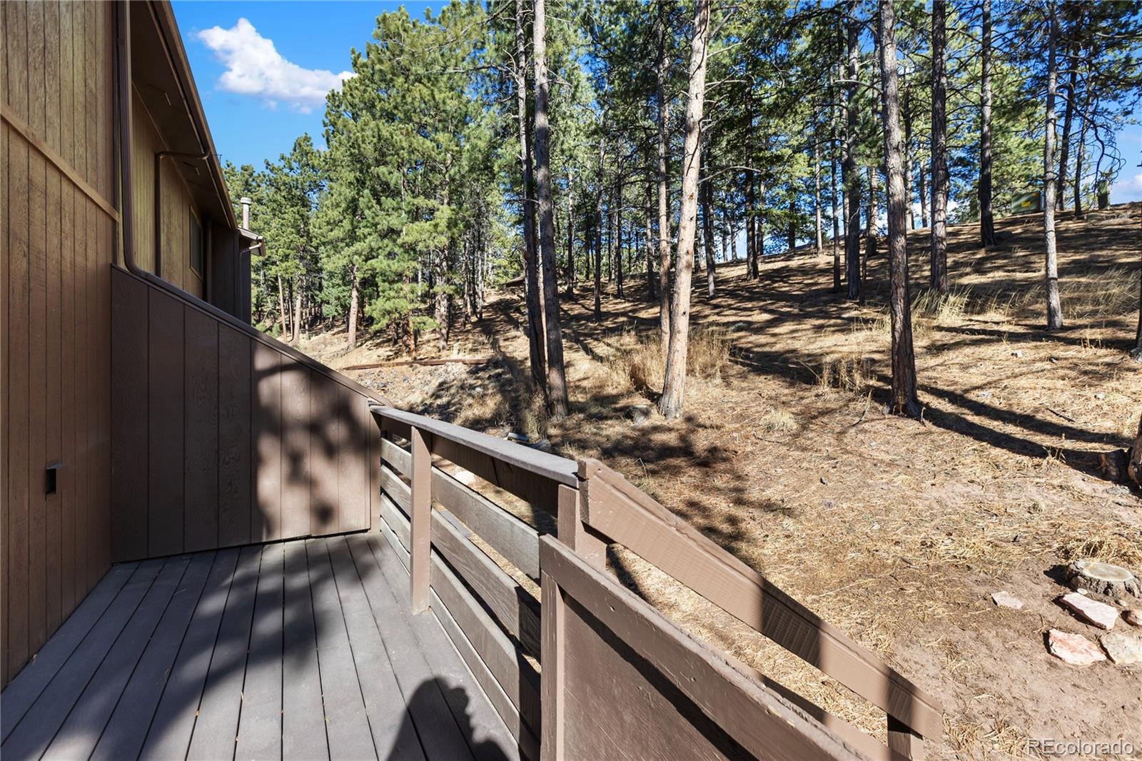 570 Manor Court Woodland Park CO 80863
