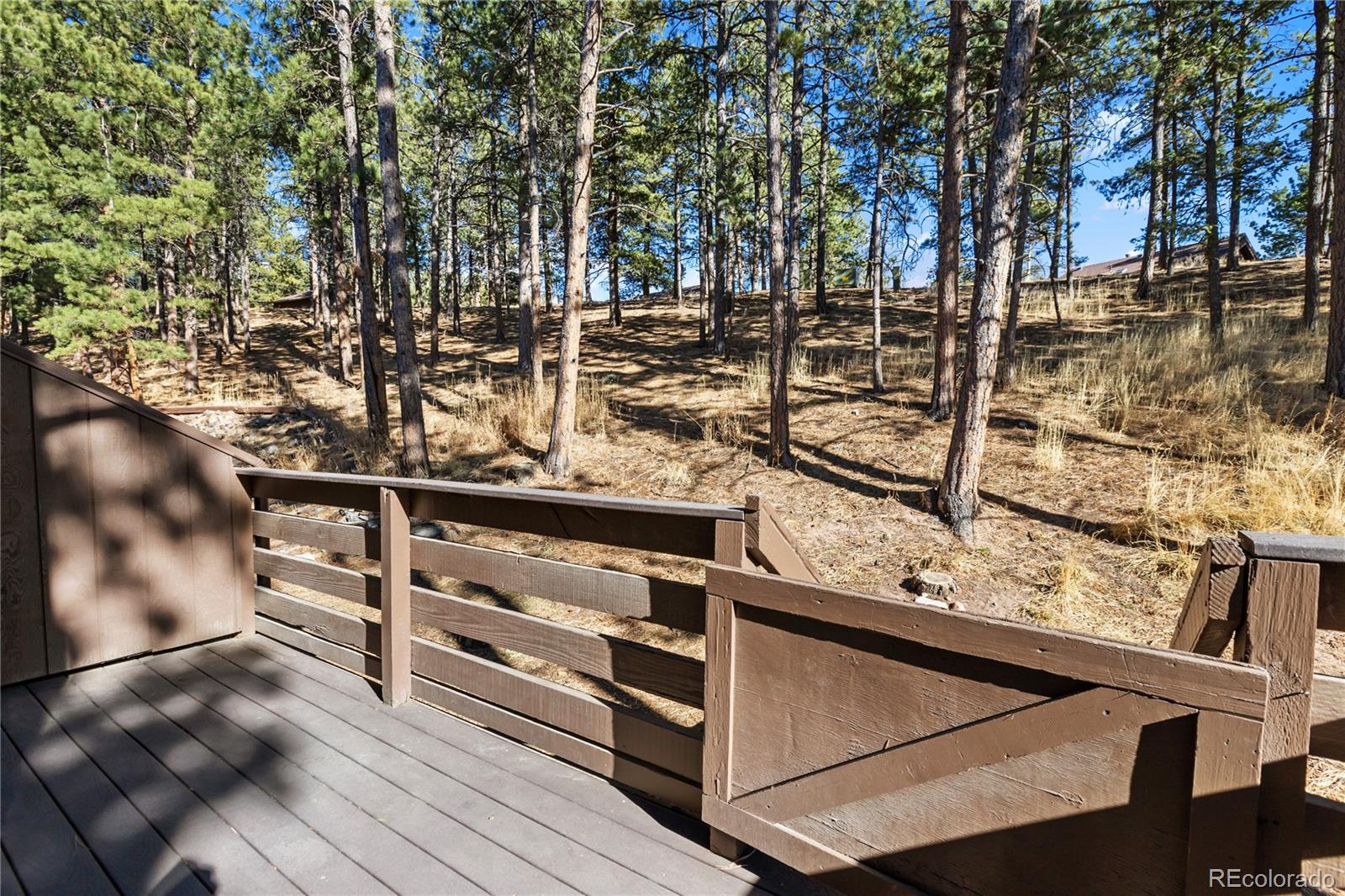570 Manor Court Woodland Park CO 80863