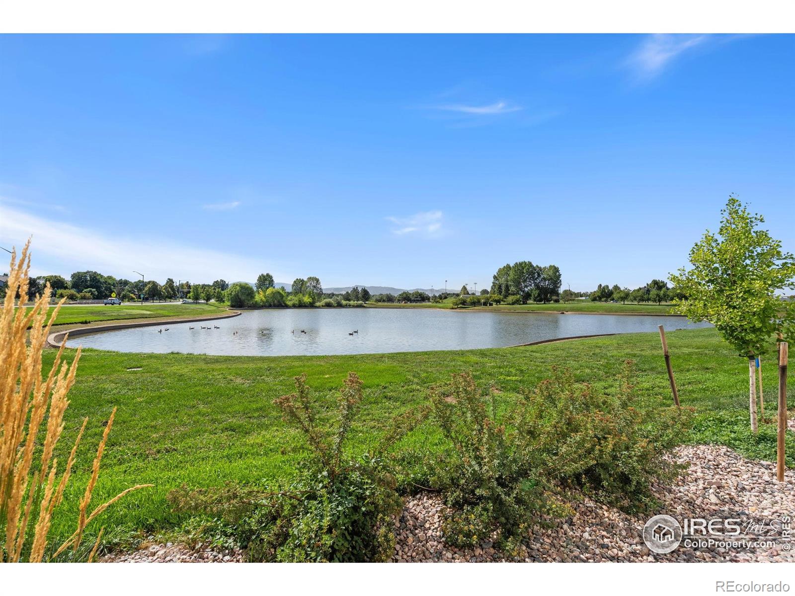 5561 Wheelhouse Way Fort Collins CO 80528