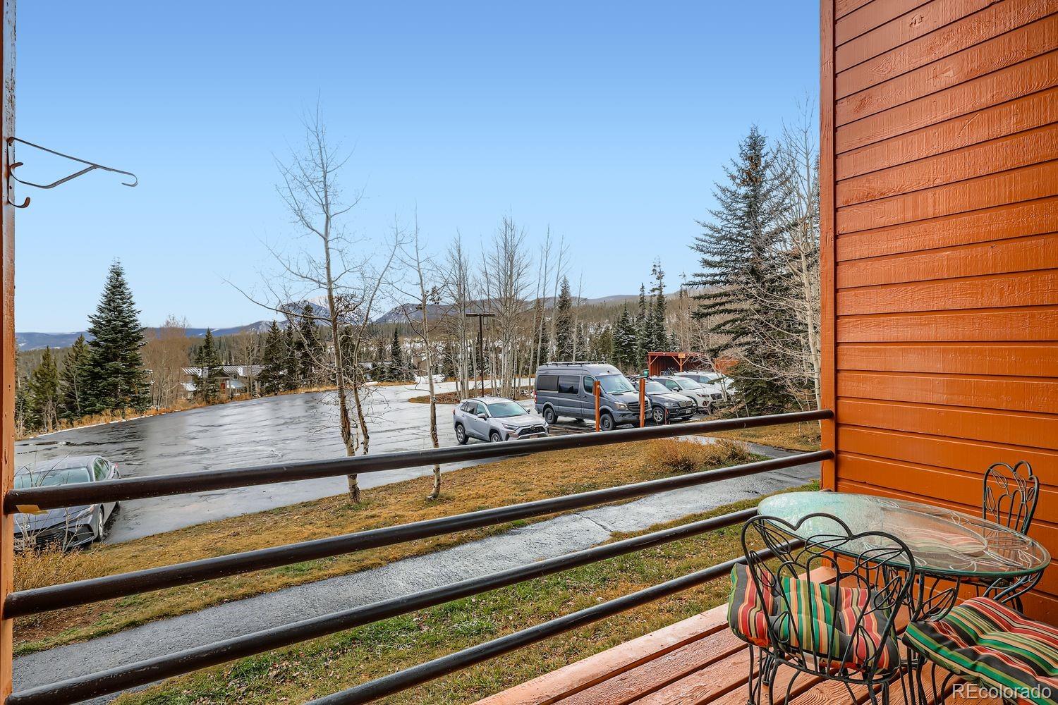 091300 Ryan Gulch Road Silverthorne CO 80498