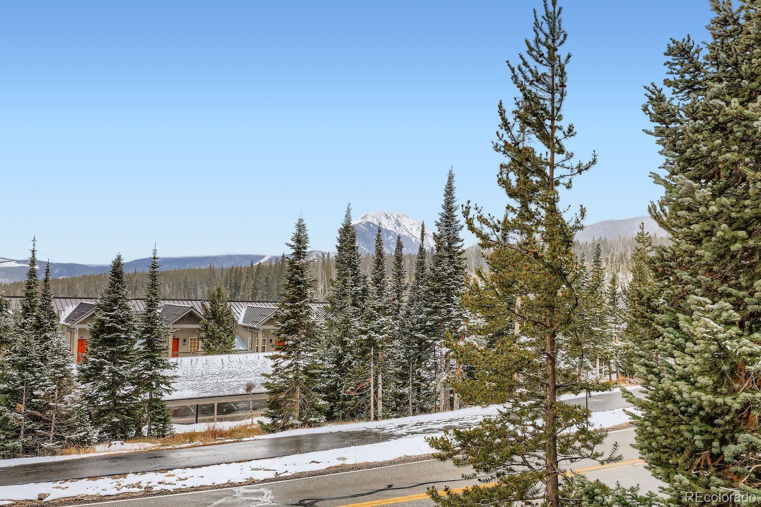 091300 Ryan Gulch Road Silverthorne CO 80498