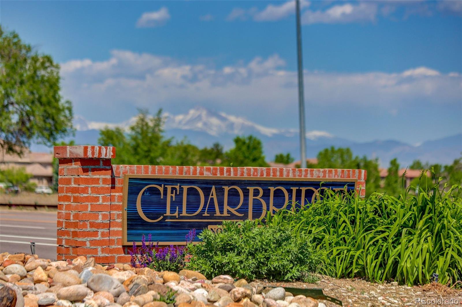 11193 Alcott Street Denver CO 80234