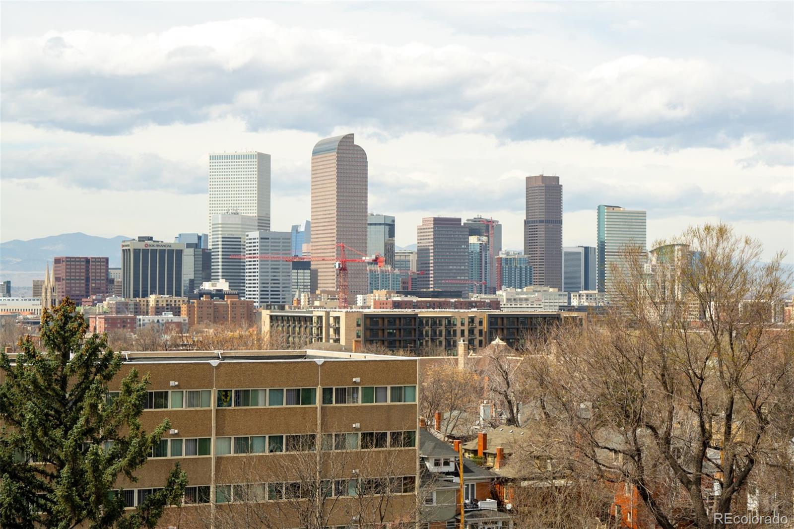 1313 N Williams Street Denver CO 80218