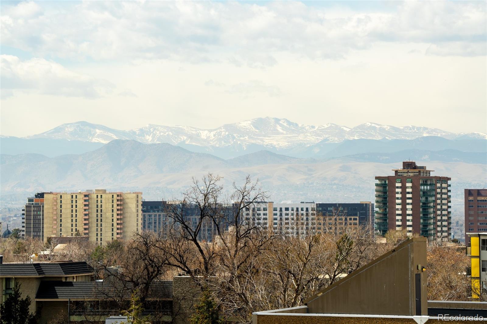1313 N Williams Street Denver CO 80218