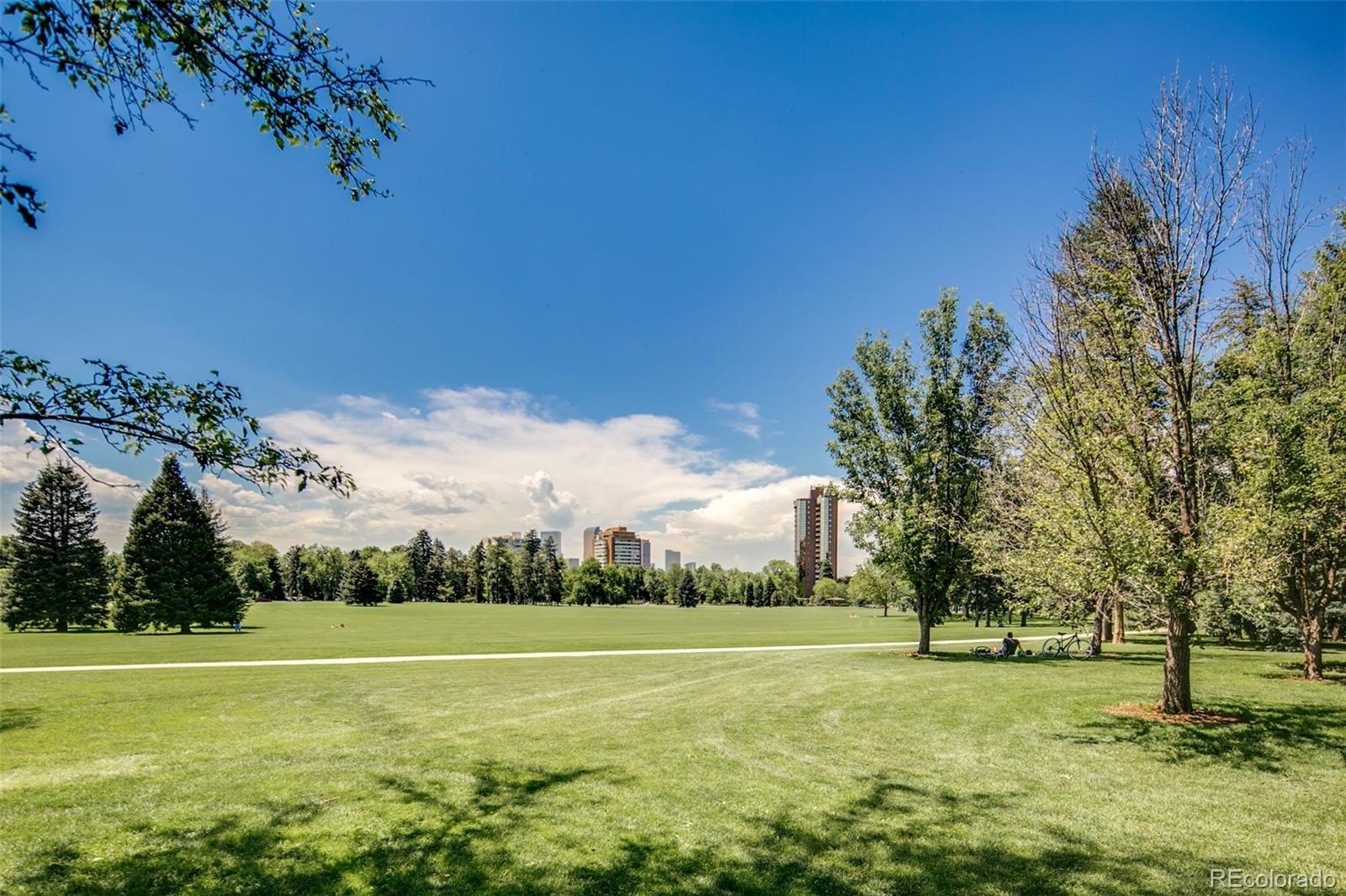 1313 N Williams Street Denver CO 80218