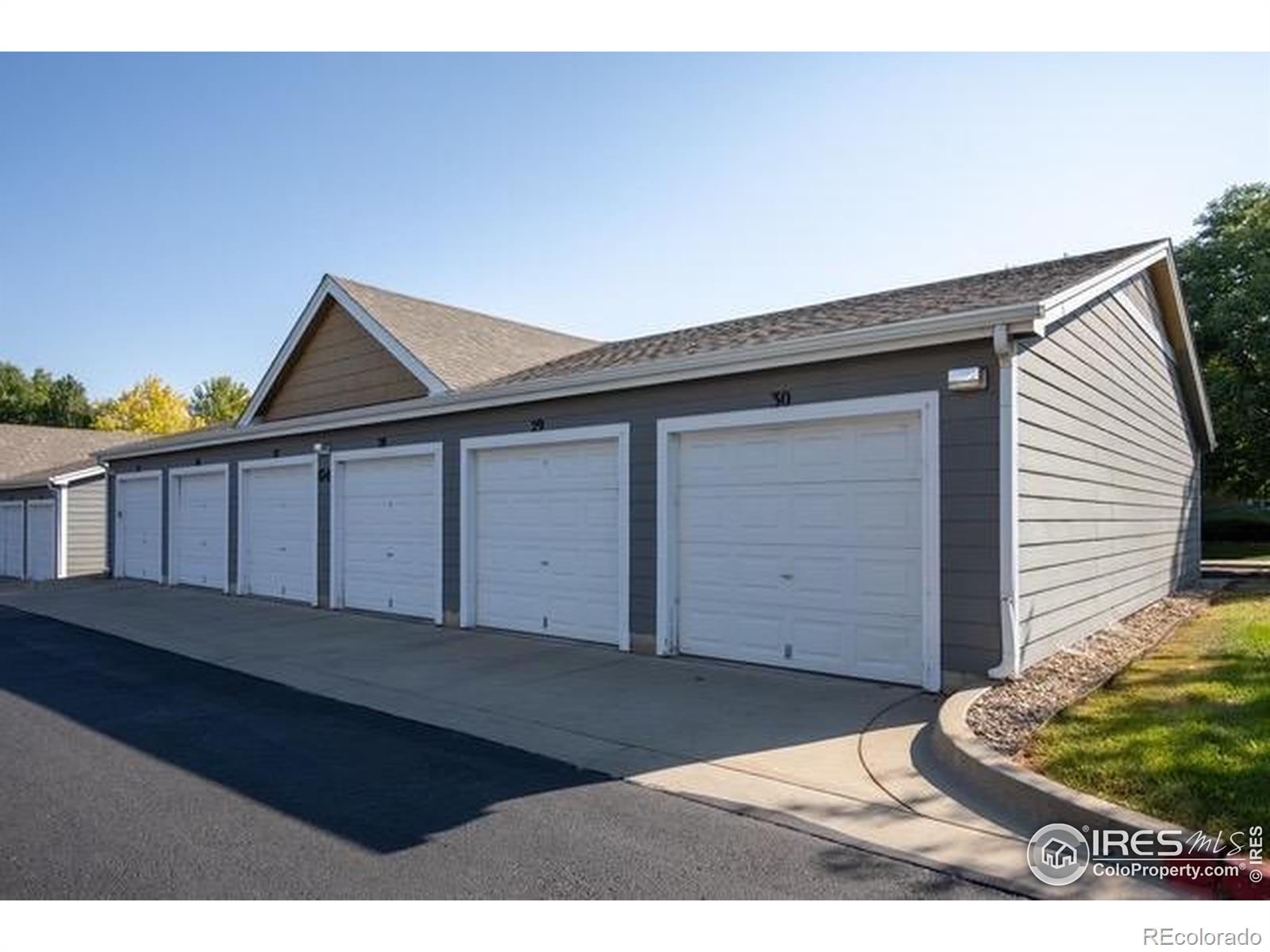 805 Summer Hawk Drive Longmont CO 80504