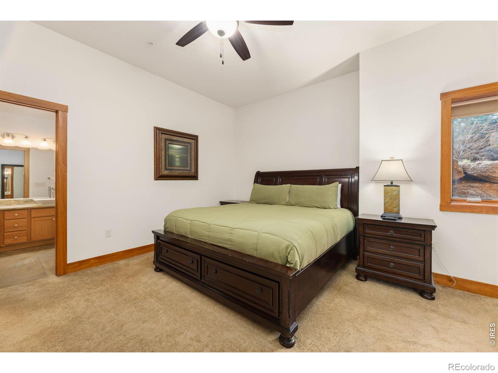 199 Twin Owls Lane Estes Park CO 80517
