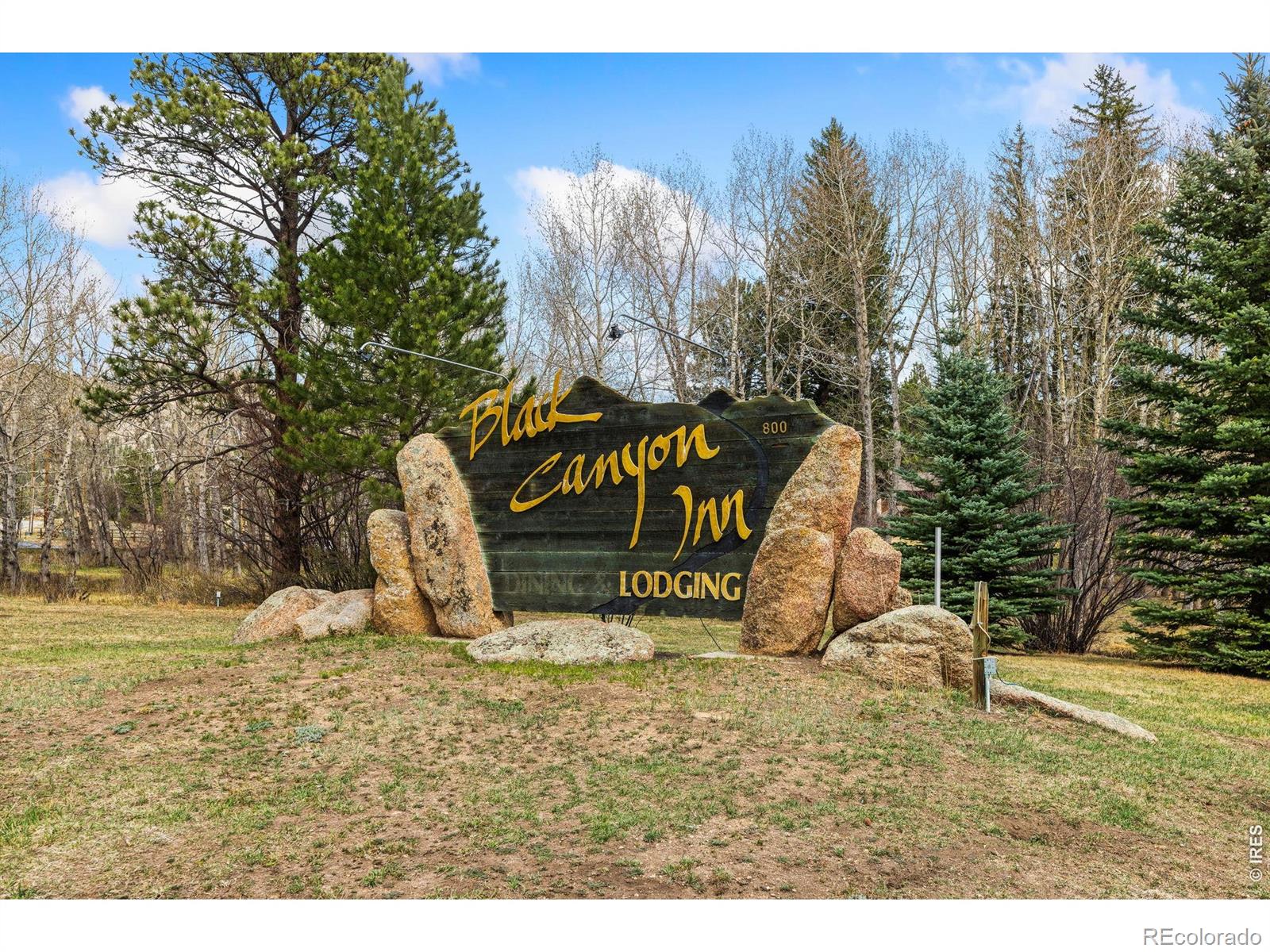 199 Twin Owls Lane Estes Park CO 80517