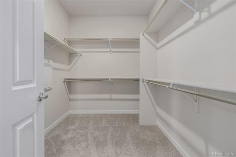 2919 E 103rd Drive Thornton CO 80229