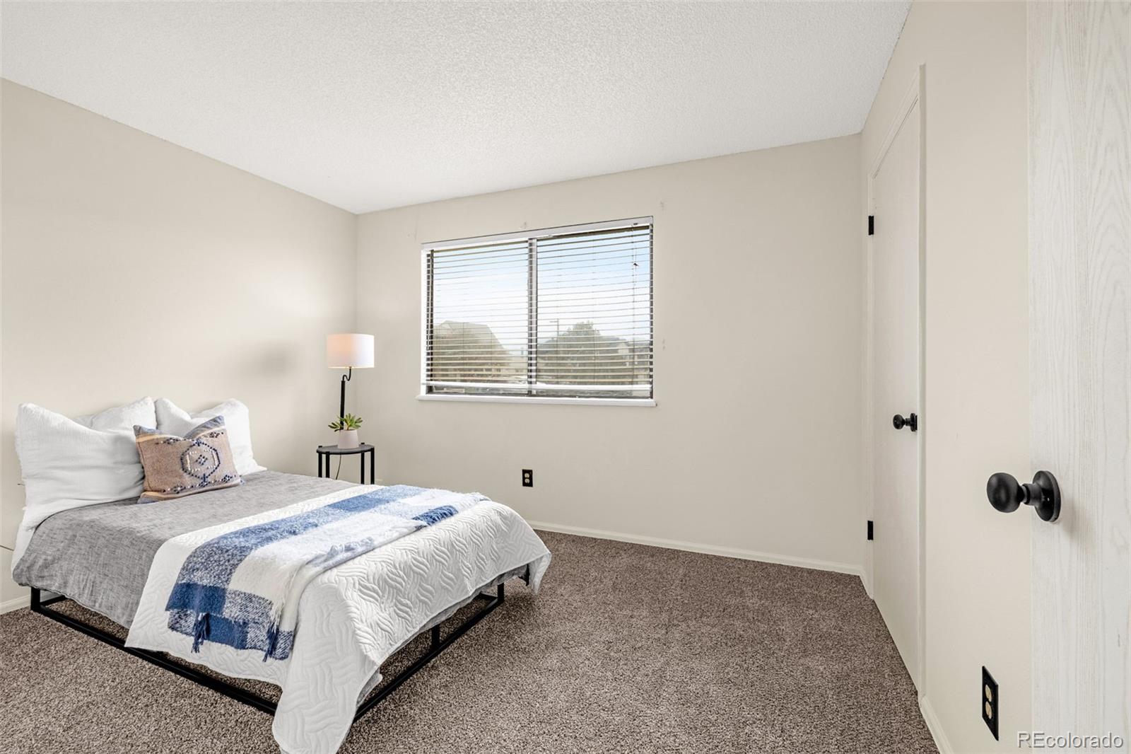 5509 Mansfield Court Colorado Springs CO 80918