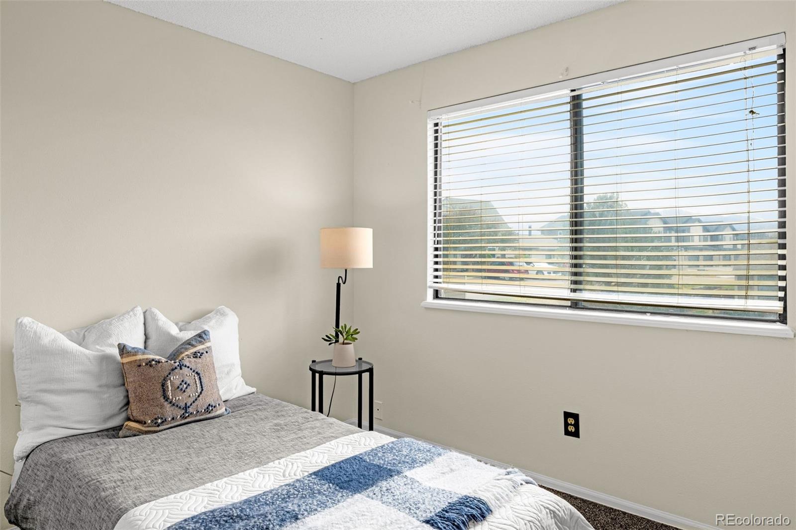 5509 Mansfield Court Colorado Springs CO 80918