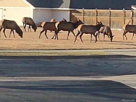 264 Shupe Circle Loveland CO 80537