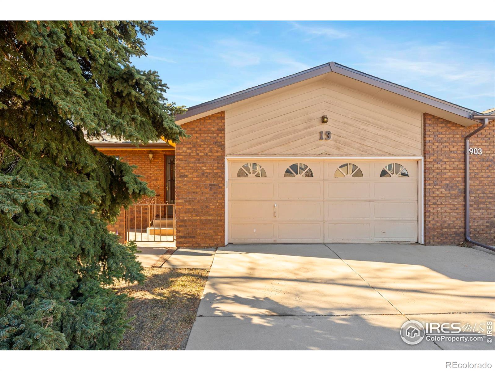 903 Conifer Court Windsor CO 80550