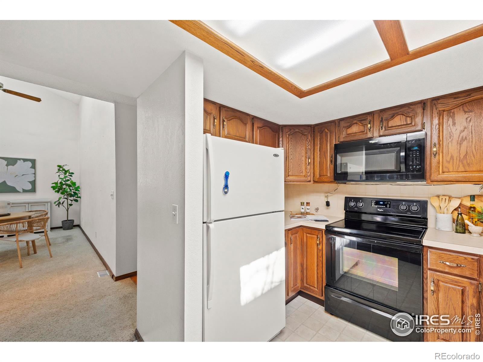 903 Conifer Court Windsor CO 80550