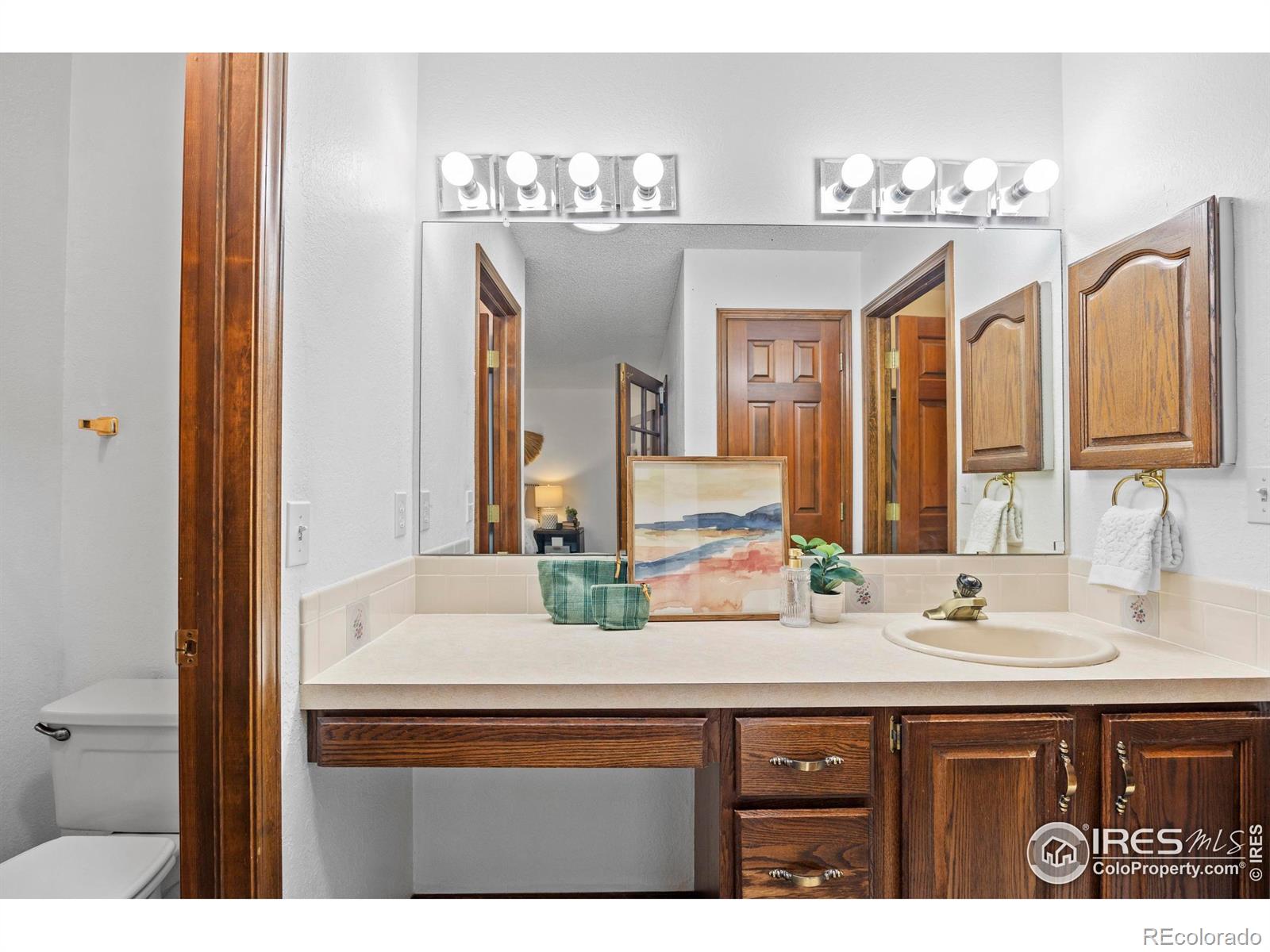 903 Conifer Court Windsor CO 80550