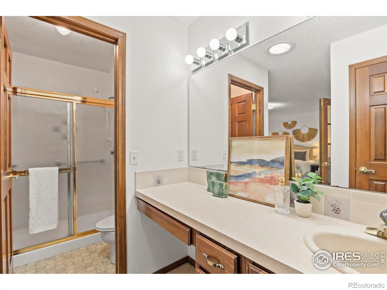 903 Conifer Court Windsor CO 80550