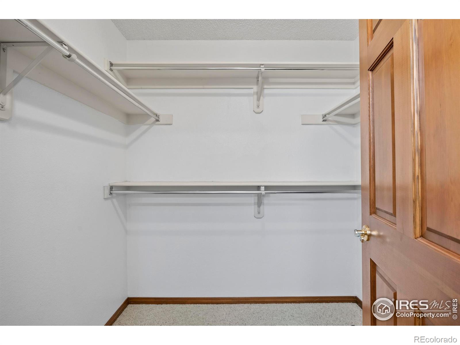 903 Conifer Court Windsor CO 80550