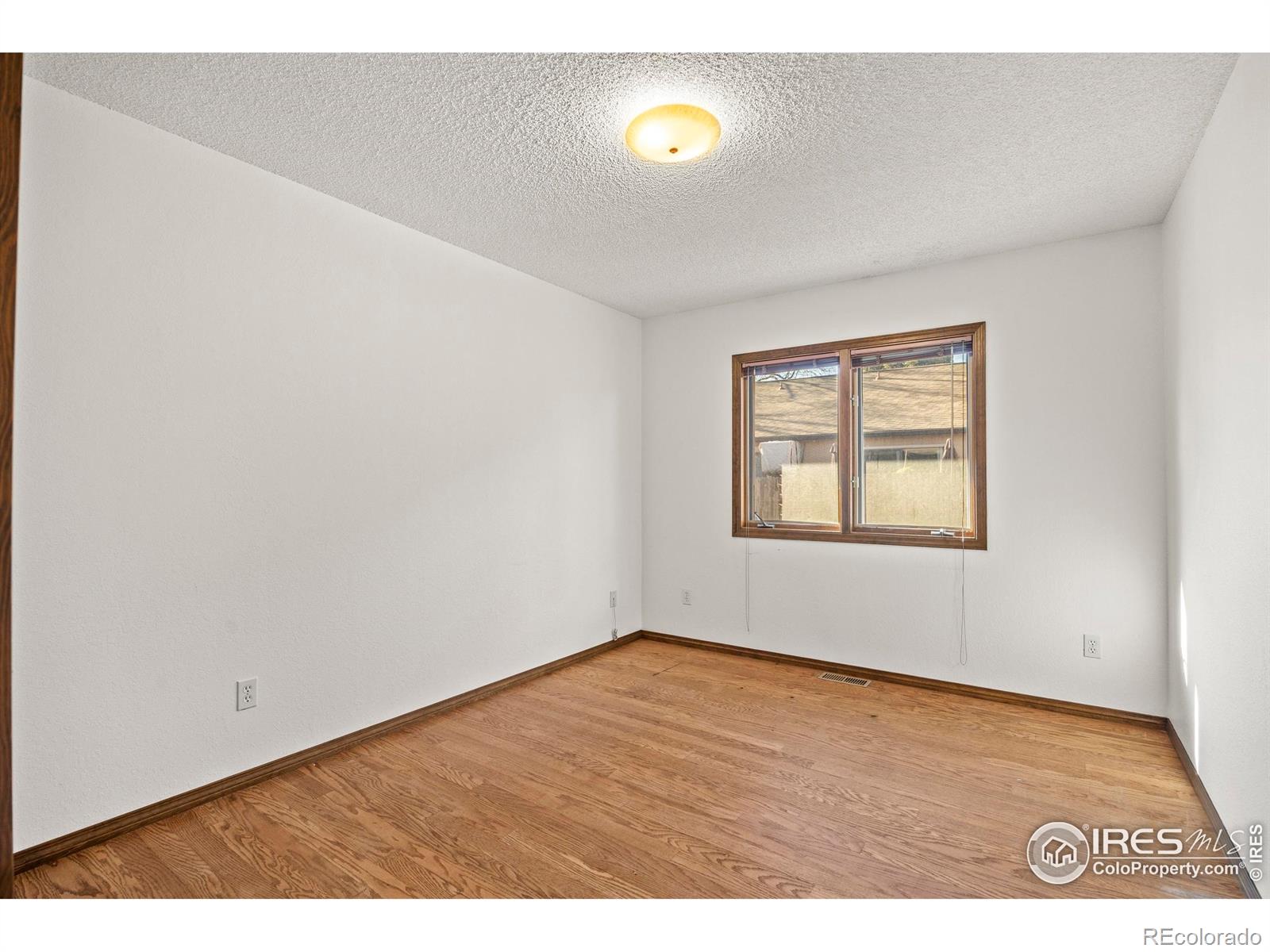 903 Conifer Court Windsor CO 80550