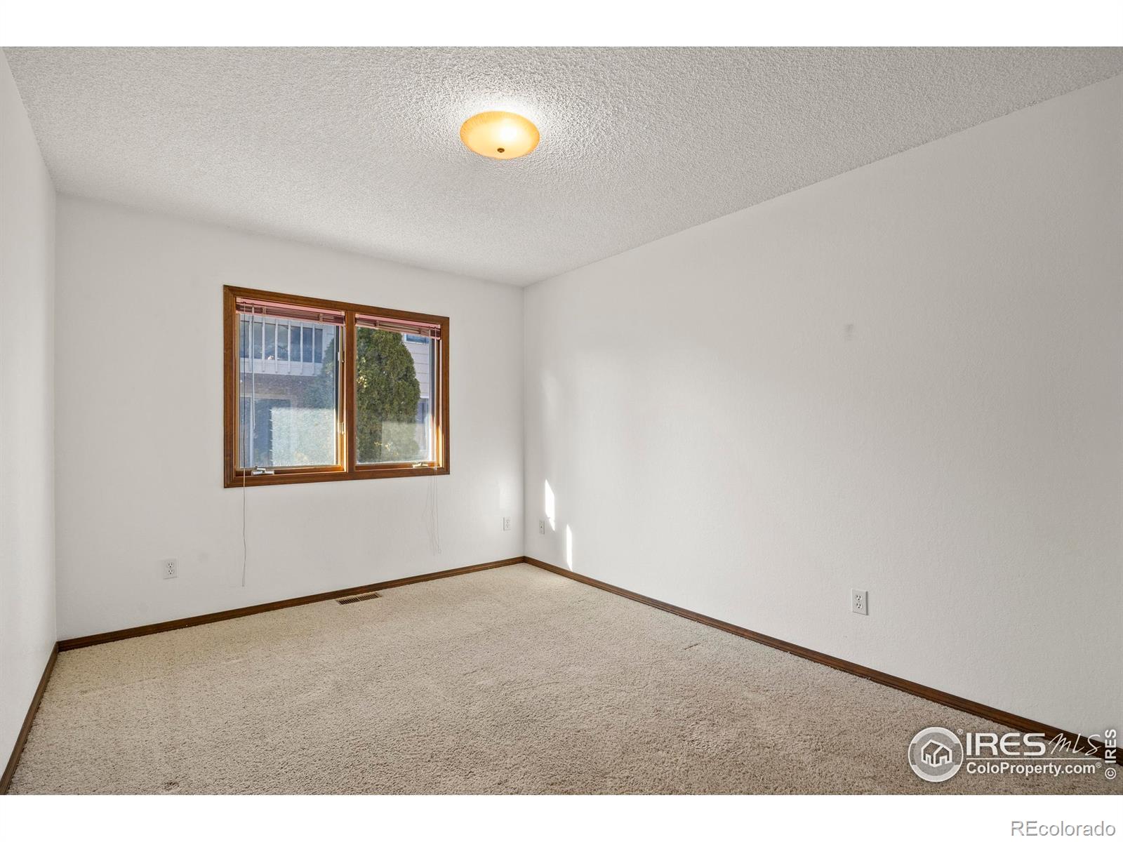 903 Conifer Court Windsor CO 80550