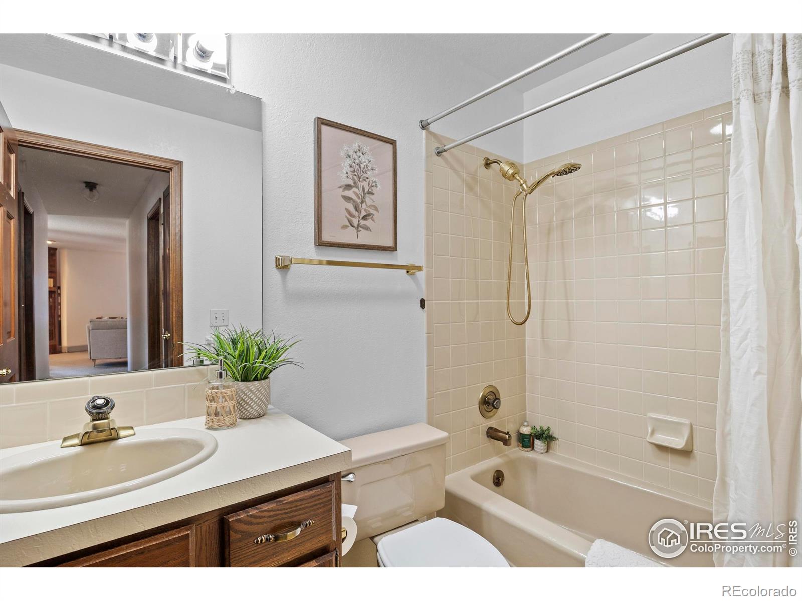 903 Conifer Court Windsor CO 80550