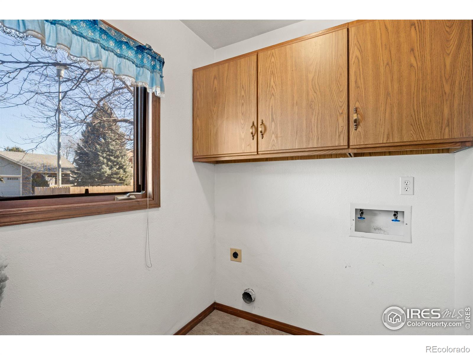 903 Conifer Court Windsor CO 80550