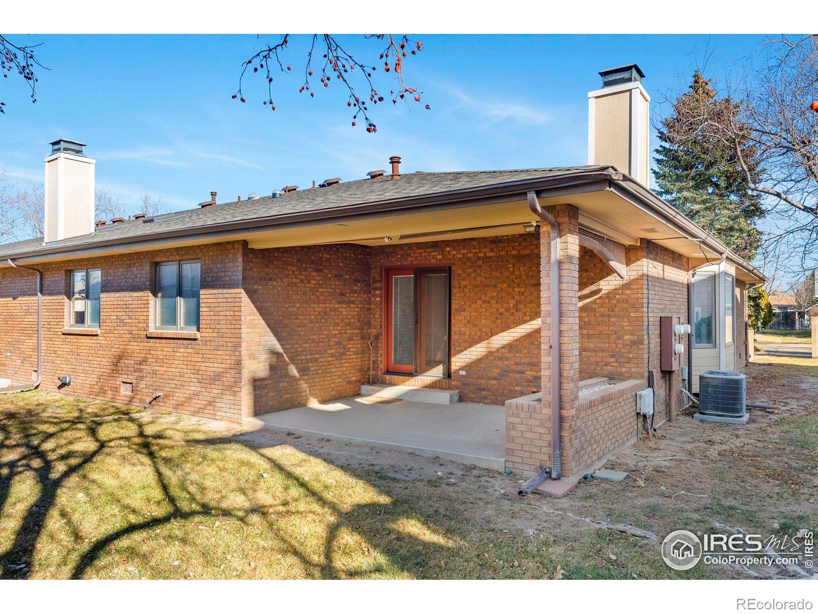 903 Conifer Court Windsor CO 80550