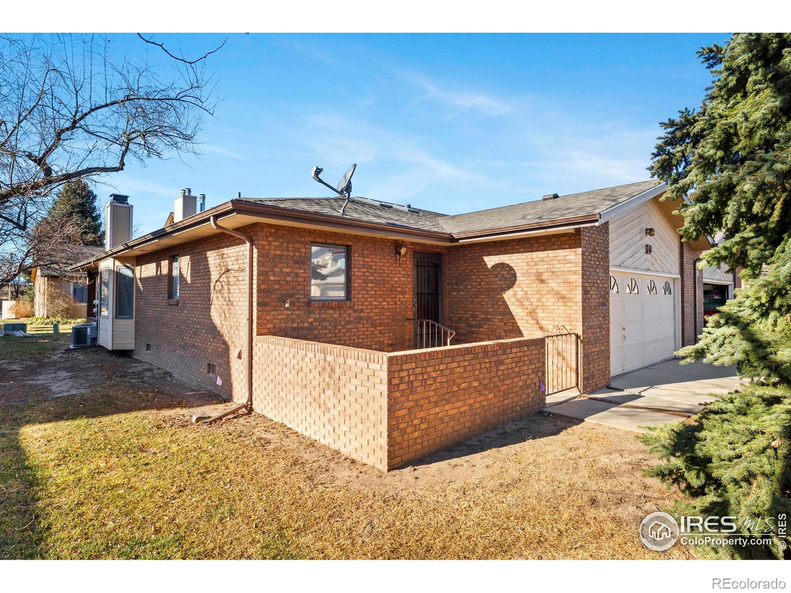 903 Conifer Court Windsor CO 80550