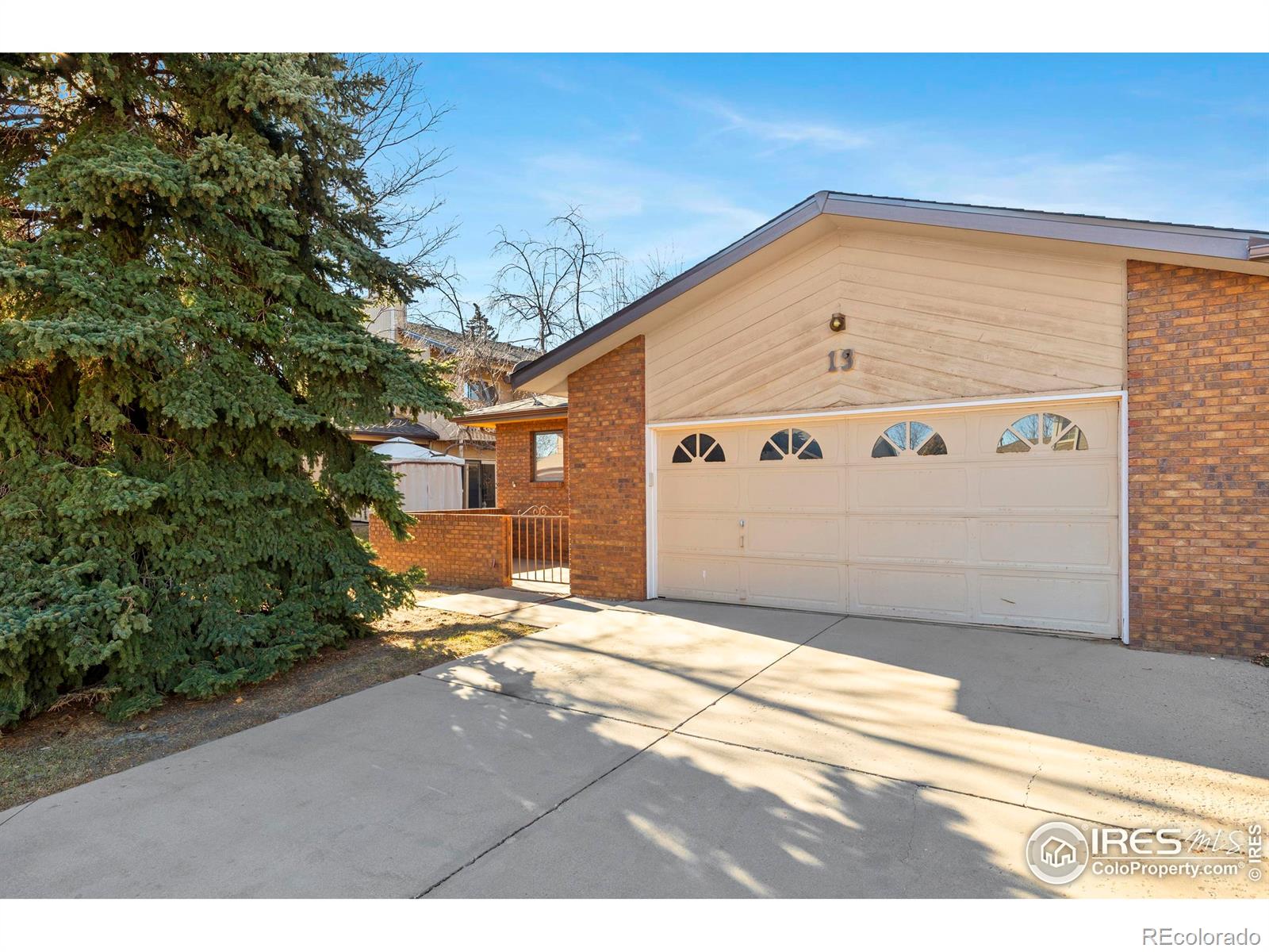903 Conifer Court Windsor CO 80550