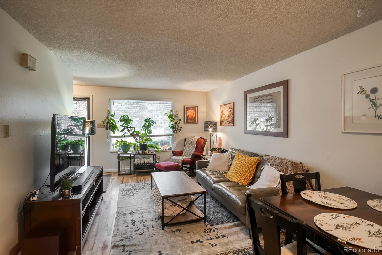 354 Gladiola Court Golden CO 80401