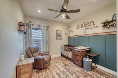 1009 Fooses Street Poncha Springs CO 81242