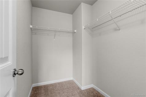 6235 White Wolf Point Colorado Springs CO 80925