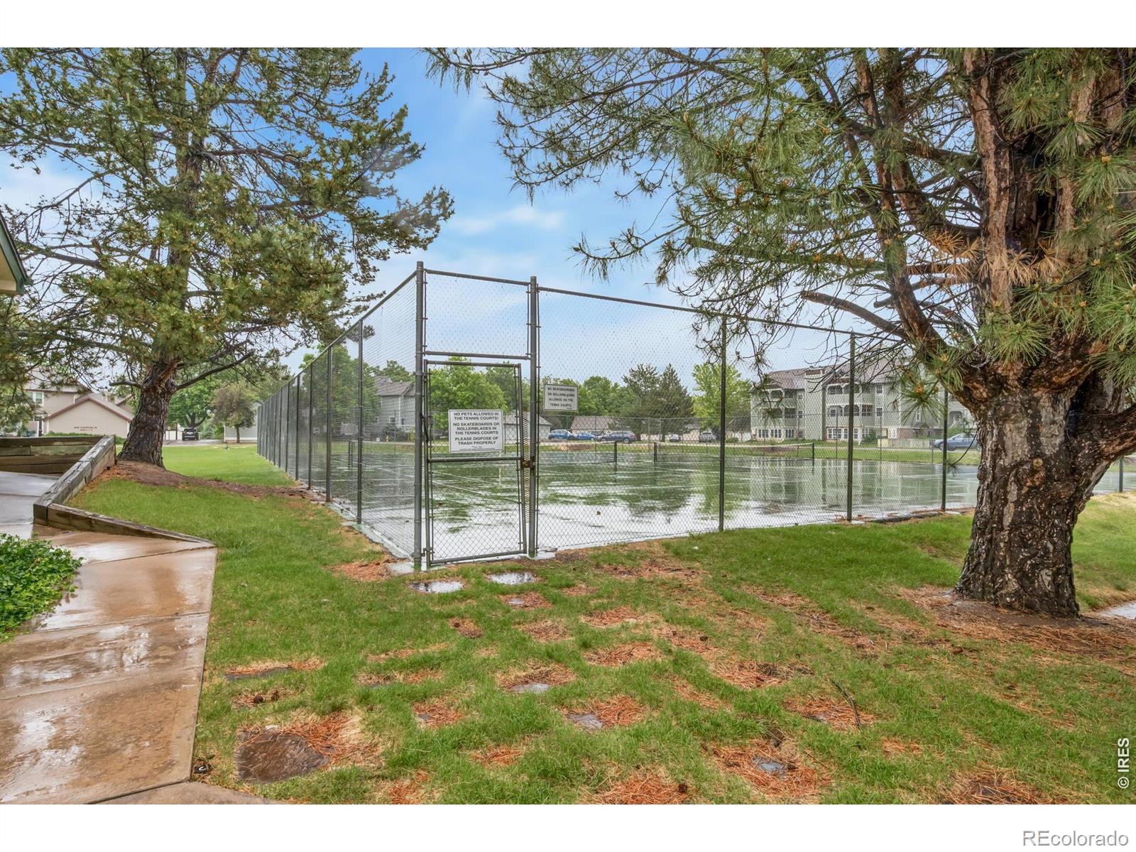 2828 Silverplume Drive Fort Collins CO 80526