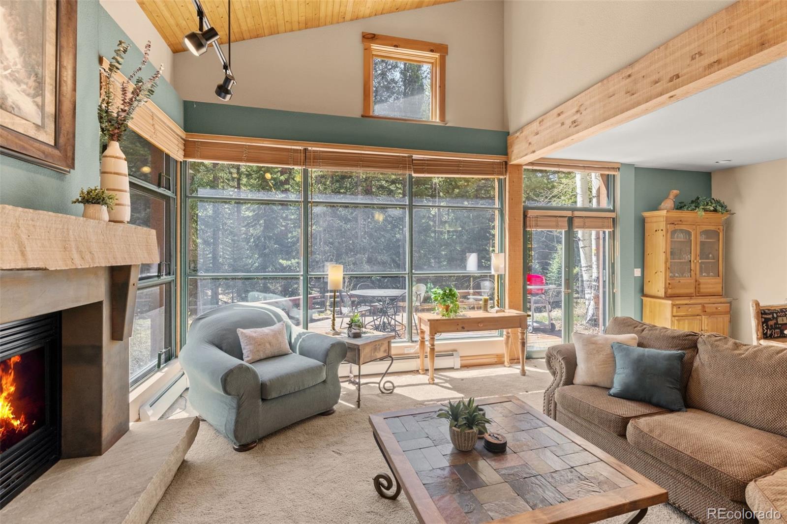 206 Alpen Rose Place Dillon CO 80435