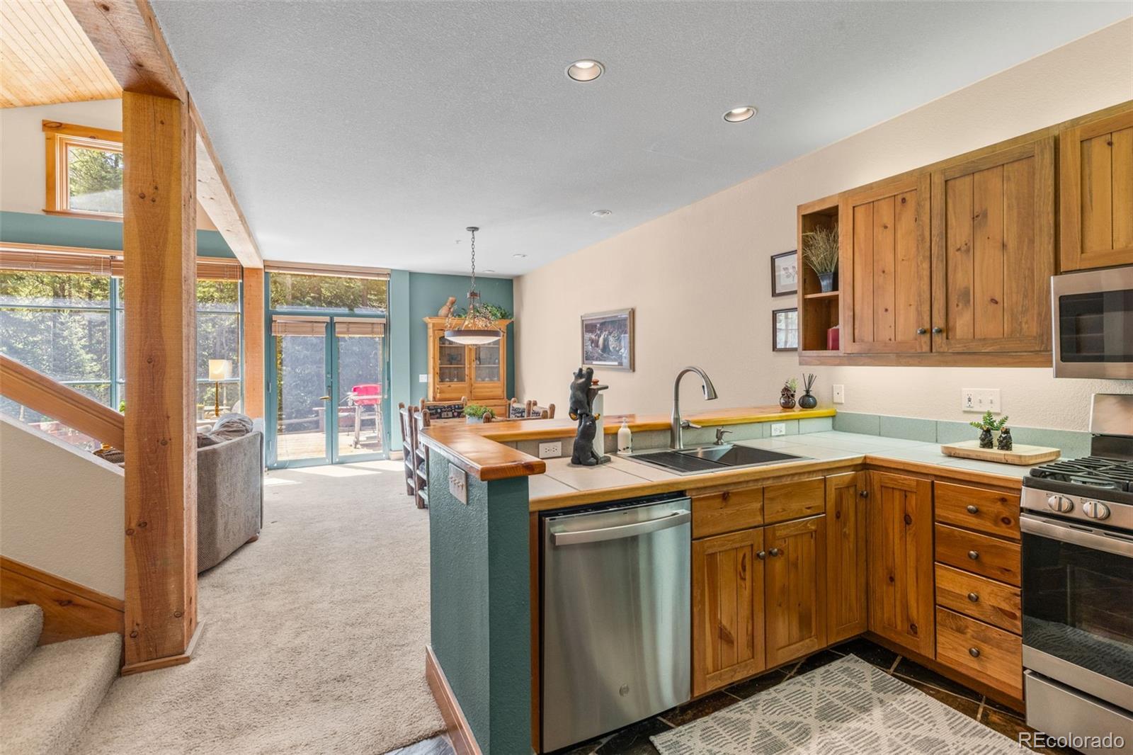 206 Alpen Rose Place Dillon CO 80435
